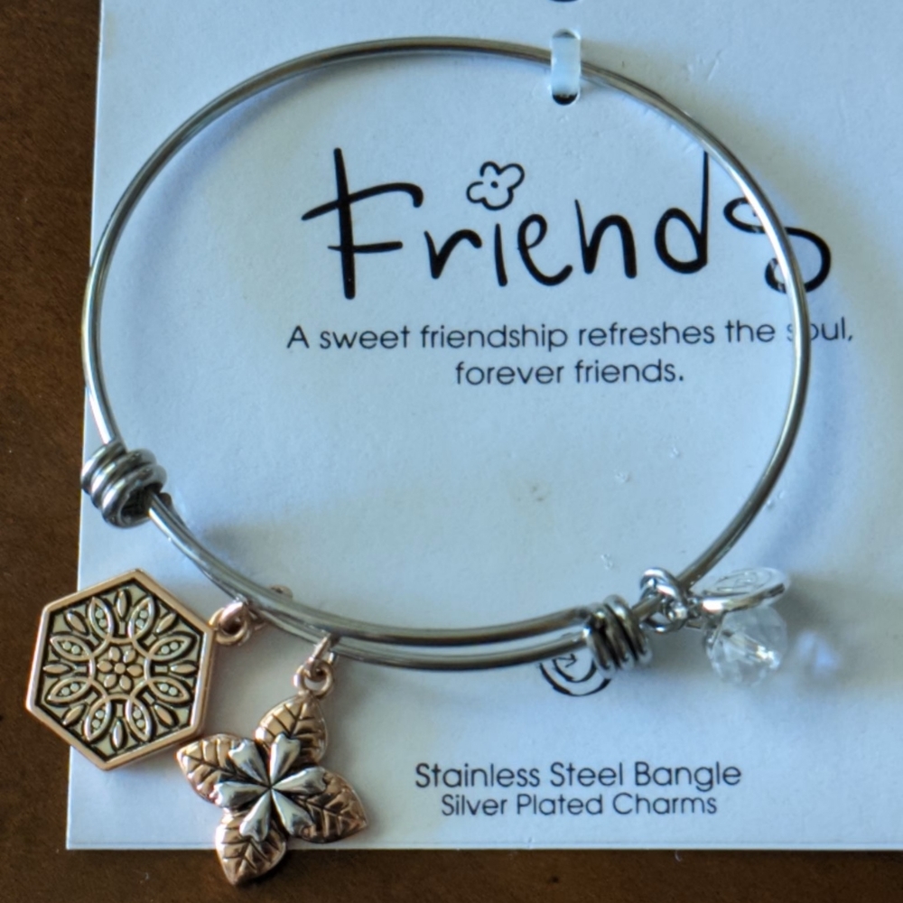 Stainless Steel Silver Plated  Friendship Charm Bangle Bracelet